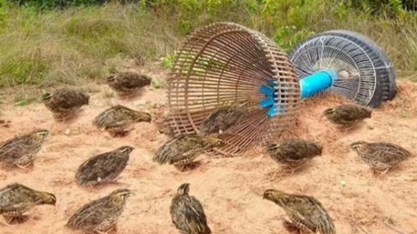 Фозил Кори Fozil qori Bedana nasixati Бедана насихати