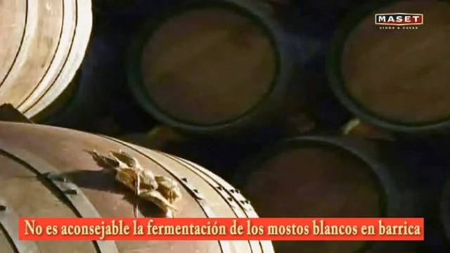 7 - La vinificación de los vinos blanco y rosado смотреть онлайн