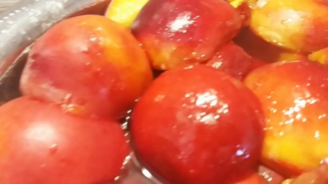 Ботаника для всех