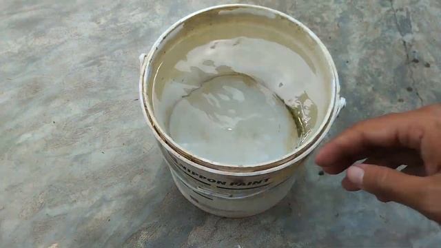 How To Grow Cauliflower from seed to harvest at Home || Farming at Home смотреть онлайн