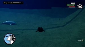Dolphin? 🐬 GTA San Andreas Definitive Edition