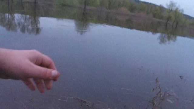 Огромный лещ попался! на поплавочную удочку смотреть онлайн