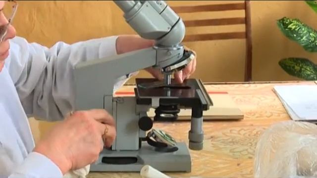 Удмуртиысь пудо эмъясъёс мушъёс понна сюлмаськемзэс верало смотреть онлайн