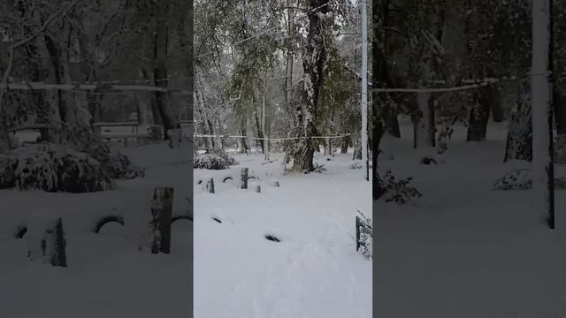 19.04.2017 - Днепр, Украина смотреть онлайн