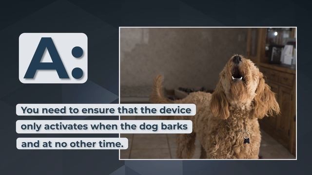 Can the Dog Silencer® MAX be used indoors? смотреть онлайн