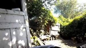 Собачья Жизнь...