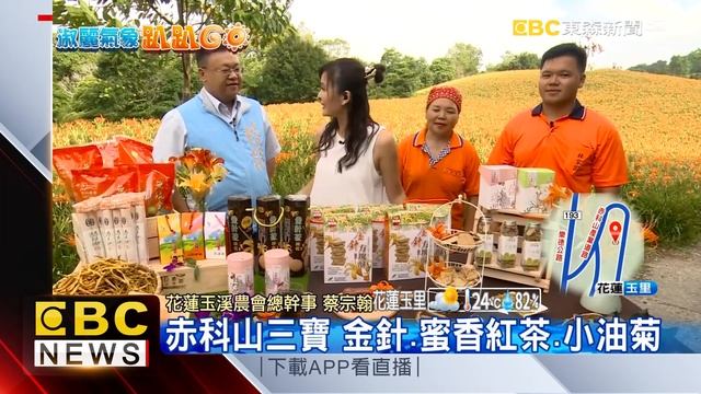 花蓮暑假最大盛事 金針花季金黃喜迎賓 смотреть онлайн