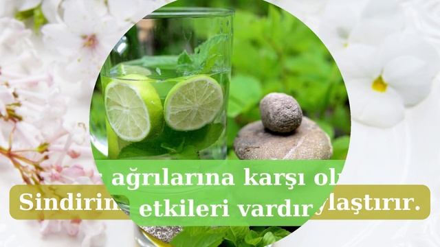 NANE YAĞI' NIN FAYDALARI смотреть онлайн