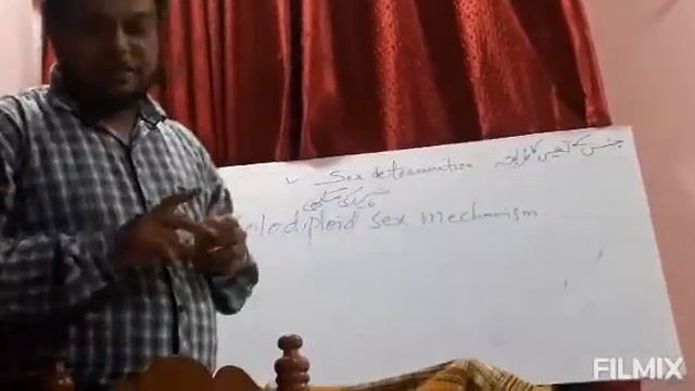 Down syndrome ,Turner syndrome.. смотреть онлайн