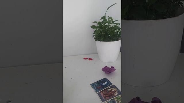 #таро да или нет, с подсказкой 🎁🗝️‼️ смотреть онлайн