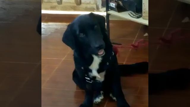 Nick, aparenta ter dois sexo, e precisa fazer exame para confirma. Ele(a) precisa de ajuda! смотреть онлайн