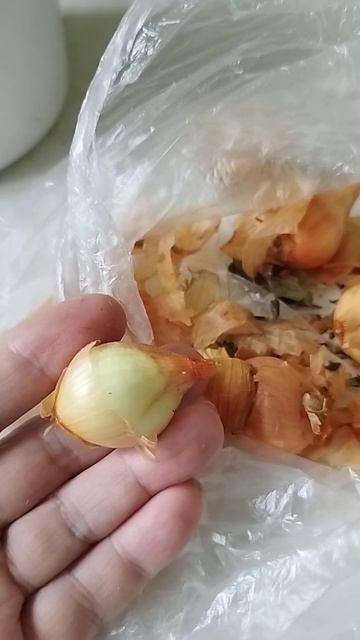 Растения - путеводители сердца