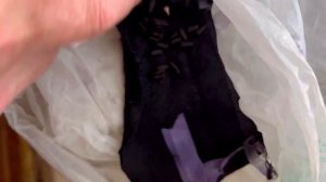 Посев семян декоративного подсолнечника