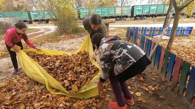 VLOG Уборка площадки! смотреть онлайн