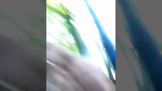 Челенчь не смейся ,Лизы и Насти! смотреть онлайн