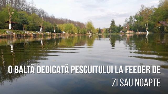Balta Sakit județul Arad смотреть онлайн