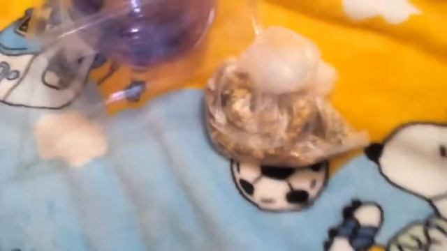 Покупки для хомяка смотреть онлайн