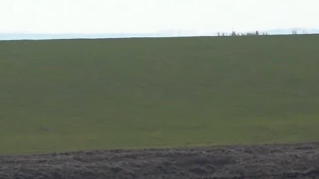 «Вестник ПРОМАГРО» от 06 11 18 смотреть онлайн