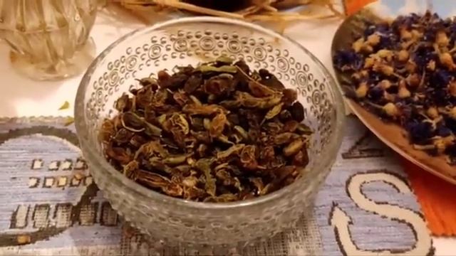 Jerlín japonský (Sophora japonica) смотреть онлайн