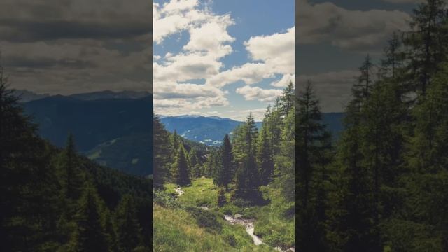 Trees lovers, and huggers check out this video! Subscribe, and check out the full video! #Trees смотреть онлайн