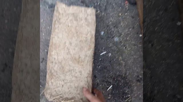 Саман прошёл испытания смотреть онлайн