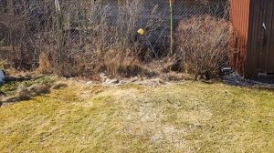 Дача..приехали с проверкой..1 часть..16-04-2025