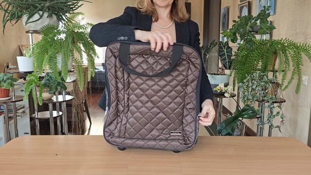Сумка на колесах \ Чемодан Polar 7058.1 коричневая смотреть онлайн