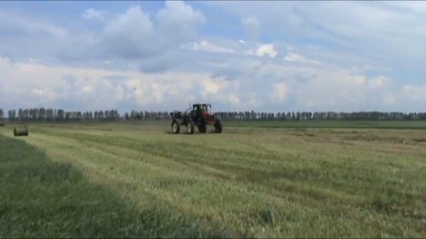 Самоходный опрыскиватель Versatile SX275