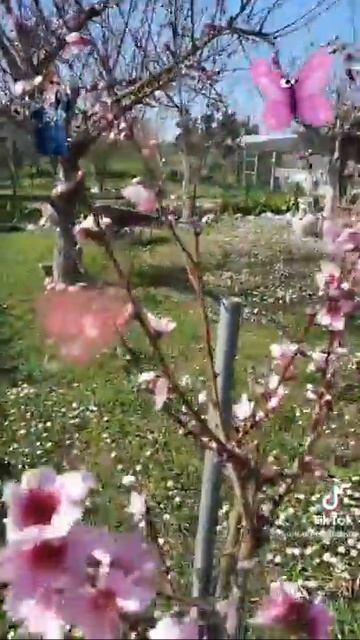 22 Marzo 2022(2) смотреть онлайн