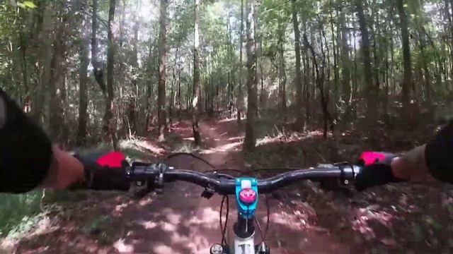 2020 Schwinn Aluminum Comp