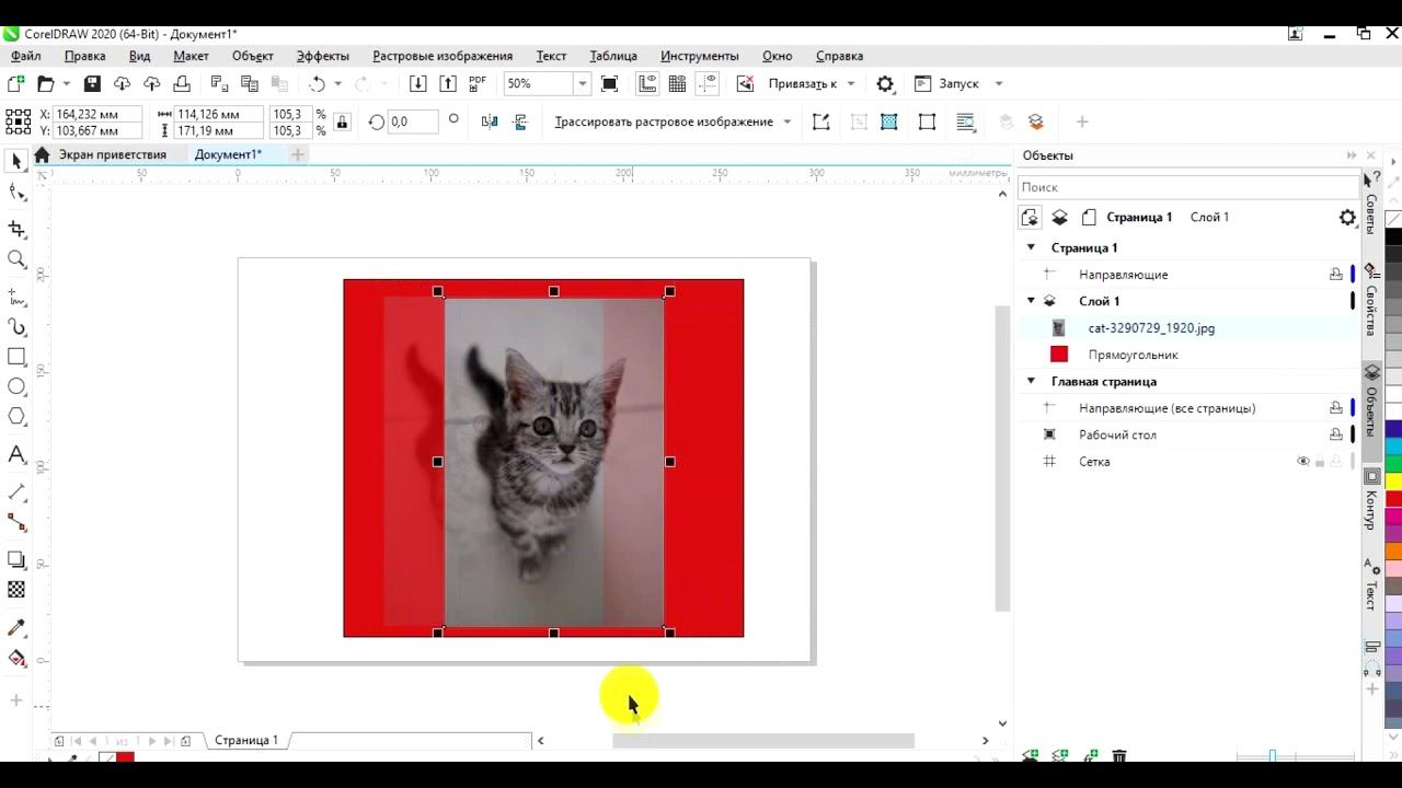 редактирую смотреть онлайн