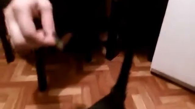 Котик вегетарианец смотреть онлайн