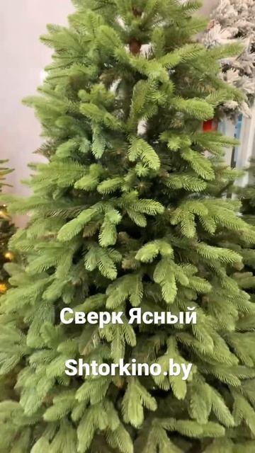 Ель комбинированная Сверк Ясный