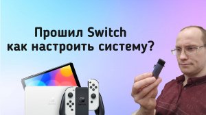 Как настроить систему после установки чипа PicoFly на Nintendo Switch