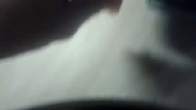 Весёлые прилипалы 5 в Дикси. Обзор 22.12.2019 смотреть онлайн