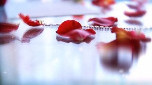 Цветы футаж РОЗЫ  (Celebrataion of Love). Футаж