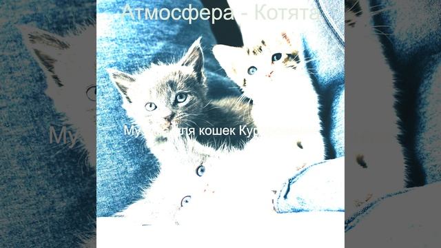 Звуки (Кошки) смотреть онлайн