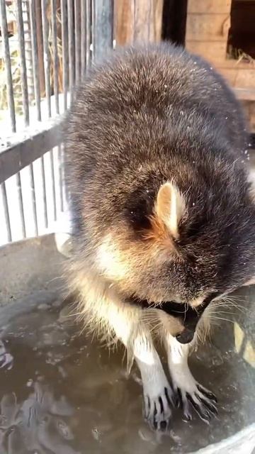 Пофигу Мороз☺️ смотреть онлайн