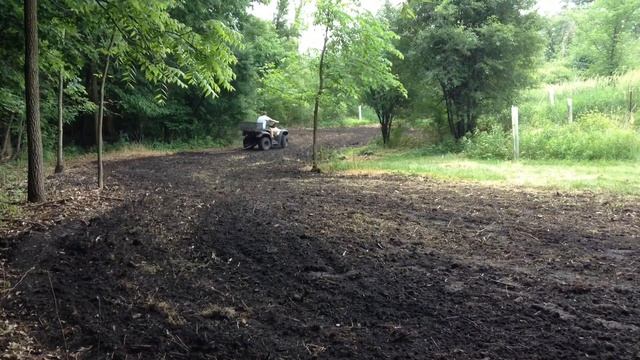 Ladino White Clover Food Plot - Small Clover Kill Plots