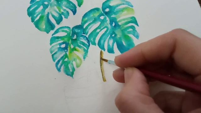 Monstera plant || watercolour illustration || tropical plants illustration смотреть онлайн