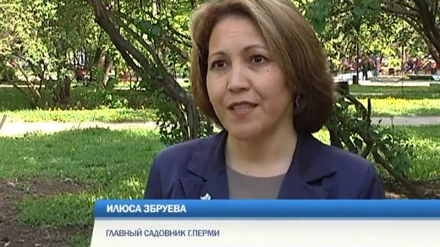 Пермь украшают цветами смотреть онлайн