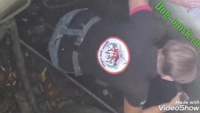 Собака в колодце смотреть онлайн