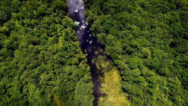 Pegasus Visuals Film Reel смотреть онлайн