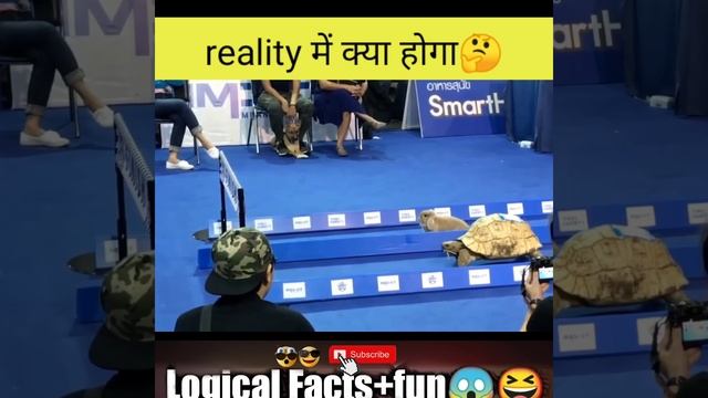 रियल में कौन जीतेगा कछुआvsखारगोश /kachhua khargosh ki kahani reallity#kachhua #khargosh#experiment смотреть онлайн