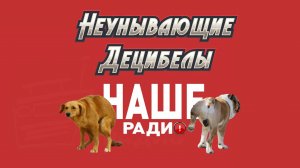 Неунывающие Децибелы - Наше Радио (2025)