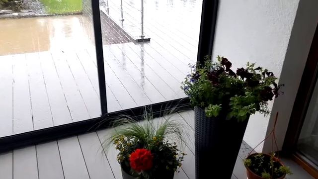 2022 05 26 rain ☔🌧lietus смотреть онлайн