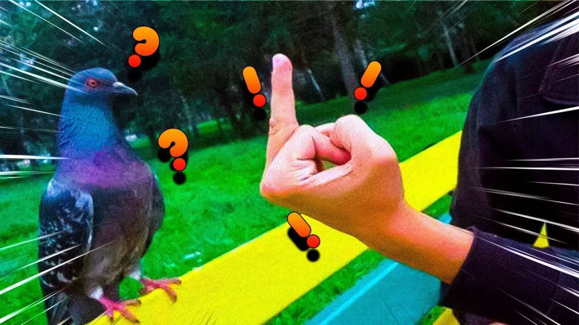 Я РЖАЛ ДО СЛЕЗ 😂 5 Минут ОТБОРНЫХ приколов 2025 Смешные видео - Лучшие ПРИКОЛЫ смотреть онлайн