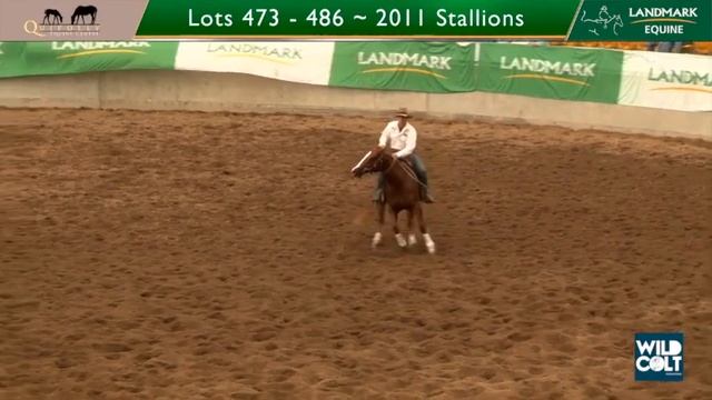 Top Priced Horse $70,000 Lot 477 Highway to Hell Landmark Sale 2014 смотреть онлайн