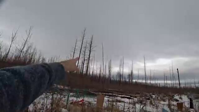 креосан перевал Дятлова 1 часть