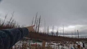 креосан перевал Дятлова 1 часть